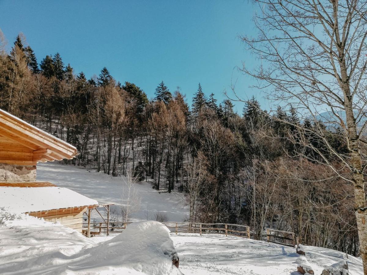 Odomi Maso Nel Bosco Villa Sant'Orsola Buitenkant foto