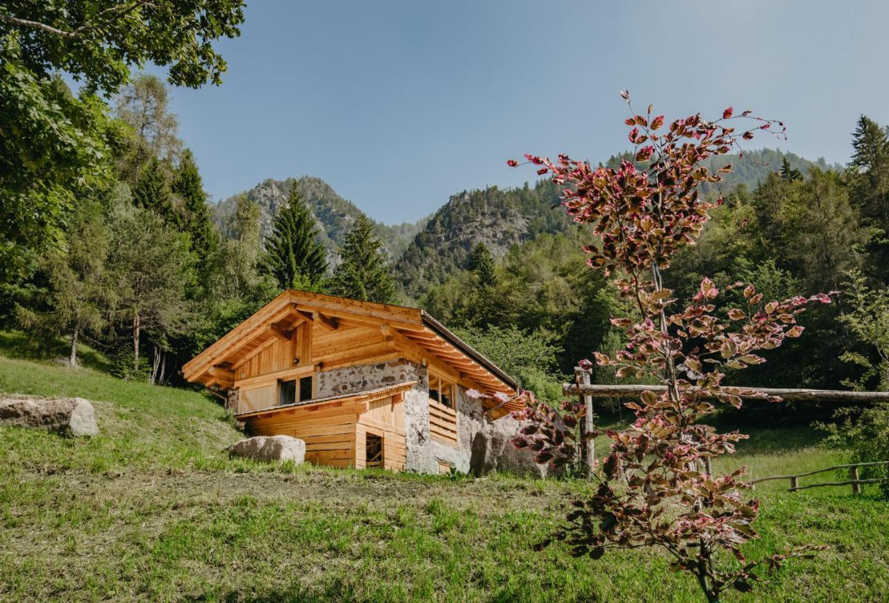 Odomi Maso Nel Bosco Villa Sant'Orsola Buitenkant foto