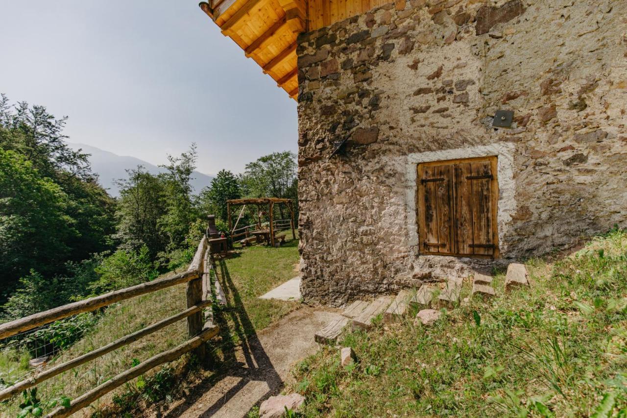 Odomi Maso Nel Bosco Villa Sant'Orsola Buitenkant foto